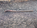 Live earthworm in a natural setting — CC0 public-domain photograph