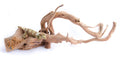Wood Spider Black Sm — representative photo