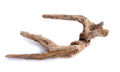 Wood Blackwood Lg — representative photo