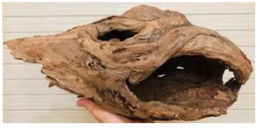 Wood Log Lg — representative photo