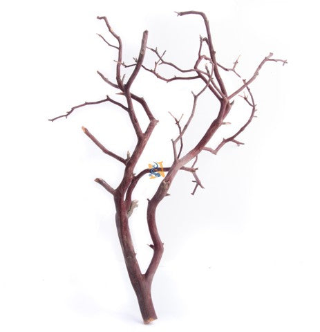 Manzanita Branchy (Dark) Sm — representative photo