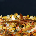 Cat Lizard Red — representative photo