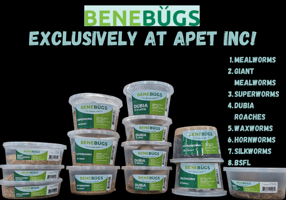 Benebugs Mealworms 1,000ct — representative photo
