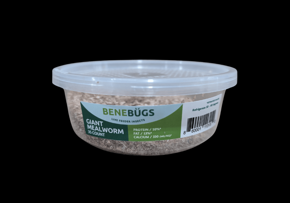 Benebugs Giant Mealworms 35ct — representative photo
