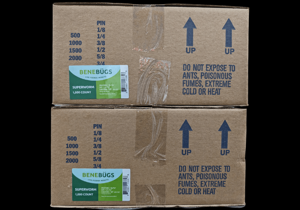 Benebugs Superworms 1,000ct — representative photo