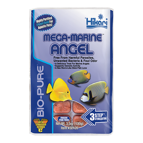Hikari Bio-Pure Frozen Mega-Marine Angel 3.5 oz cube pack